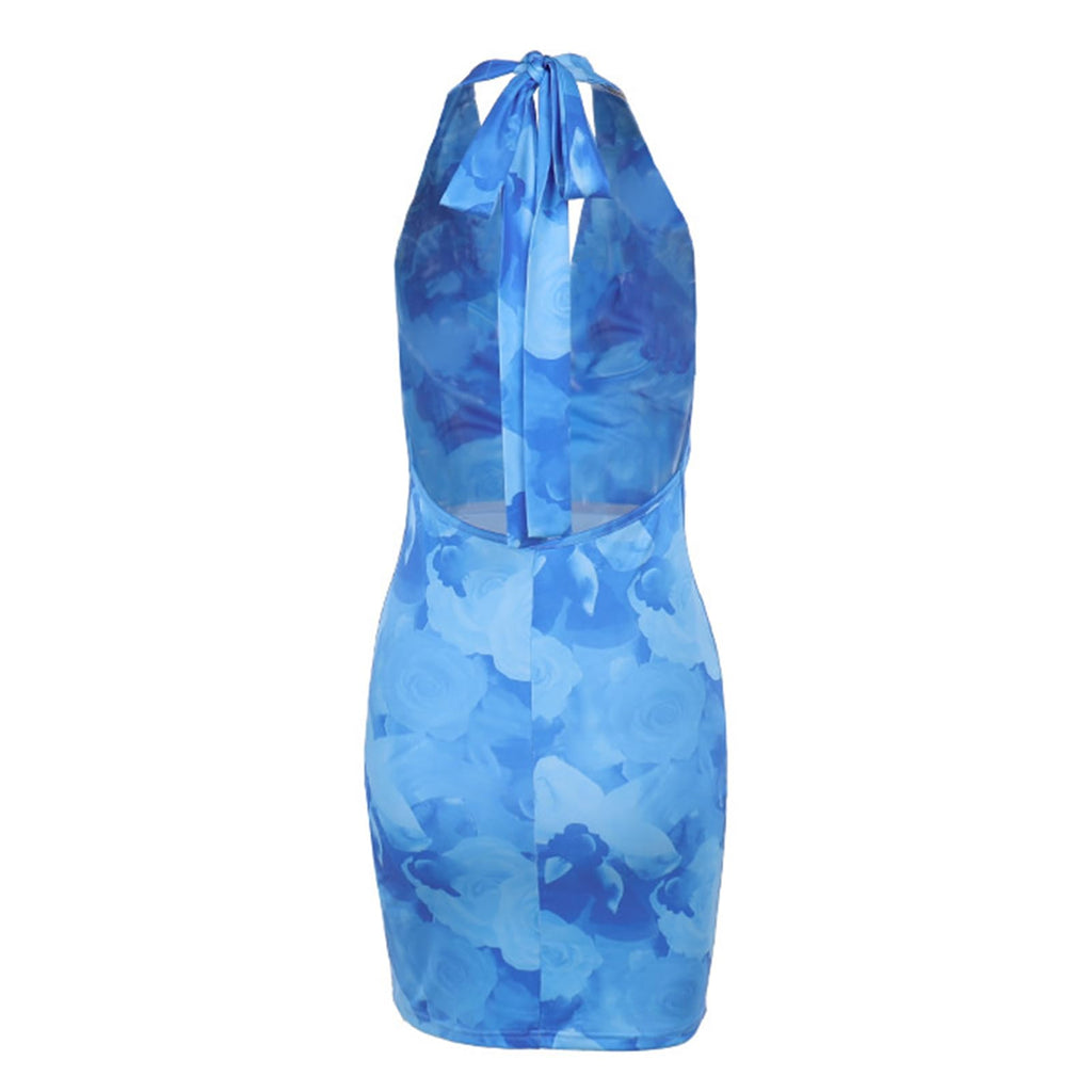 Knemksplanet Women Halterneck Mesh Mini Dress Floral Print Blue Size L