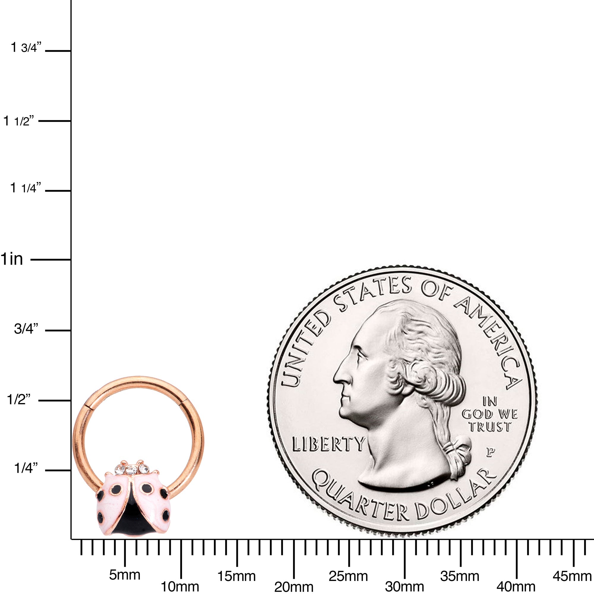 16G 3/8 Clear Gem Rose Gold Tone Lil Ladybug Hinged Segment Ring