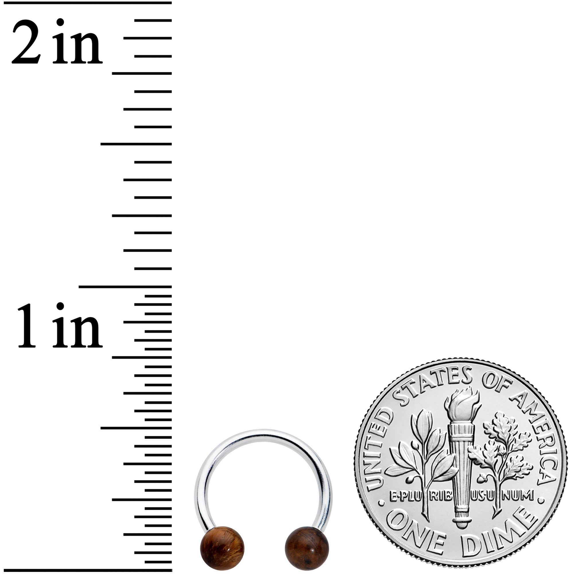 16G 3/8 Brown Stone Ball Ends Internally Threaded Horseshoe