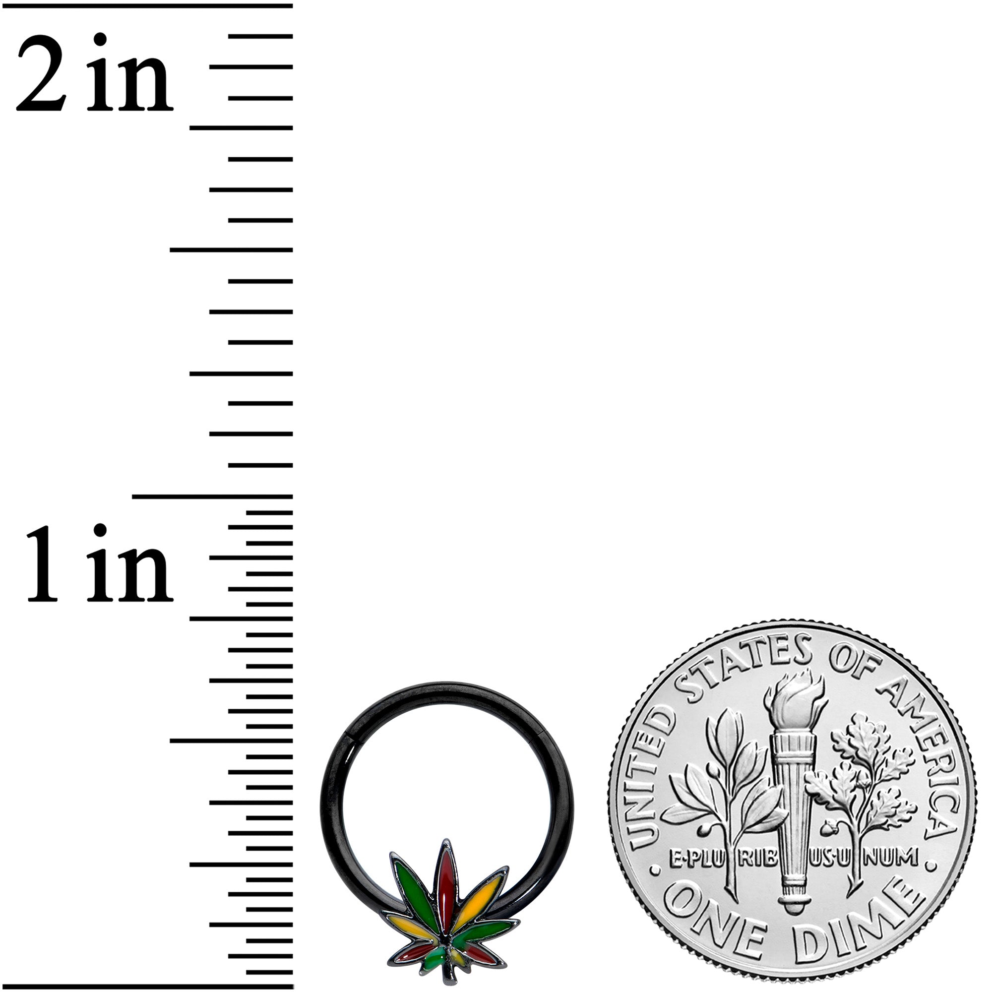 16G 5/16 Black Multicolor Pot Leaf Hinged Segment Ring