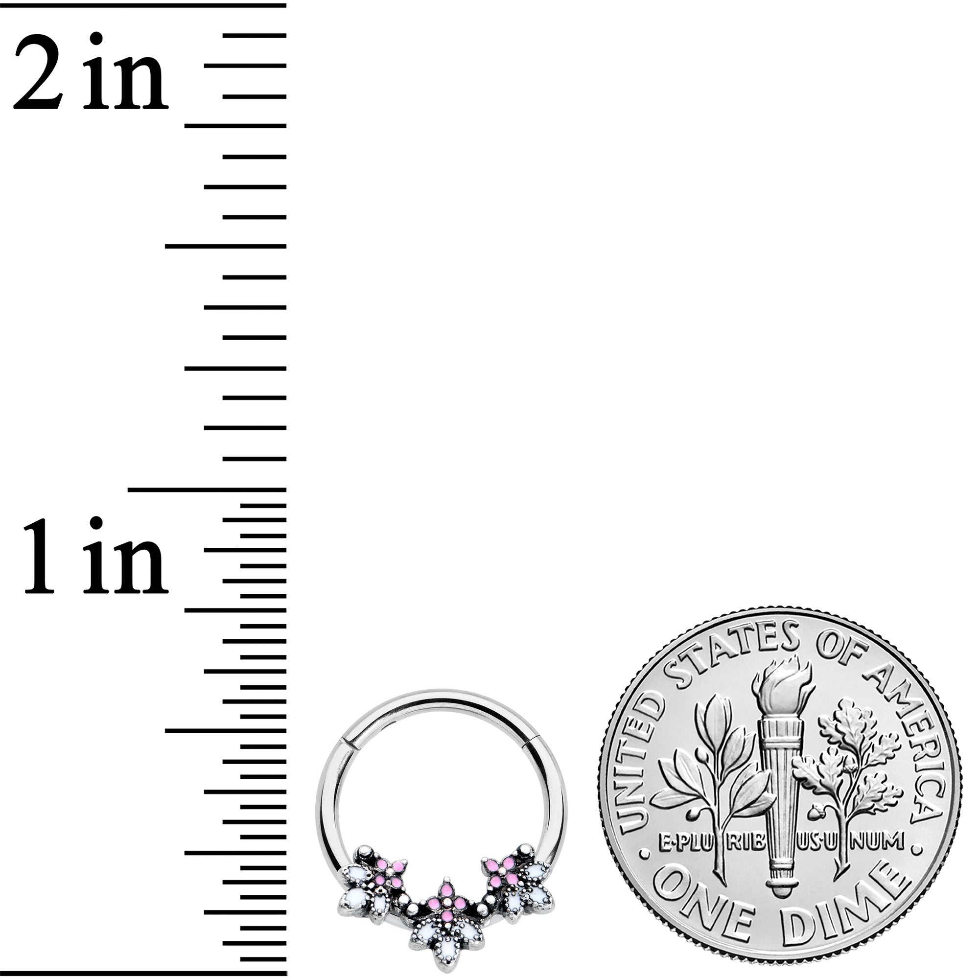 16G 3/8 Pink White Abstract Leaf Hinged Segment Ring