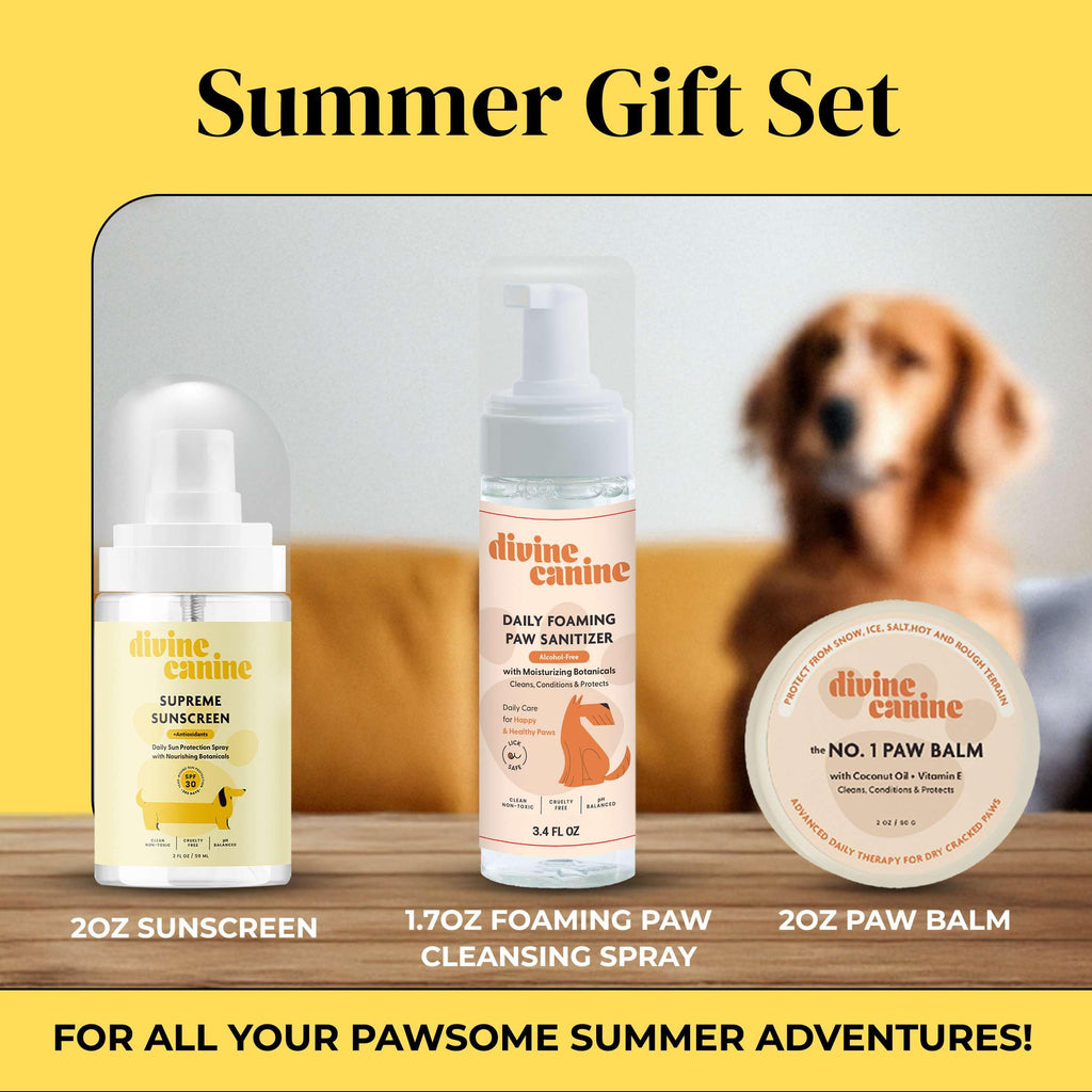 Divine Canine Summer Essentials Dog Care Kit Sunscreen Paw Balm
