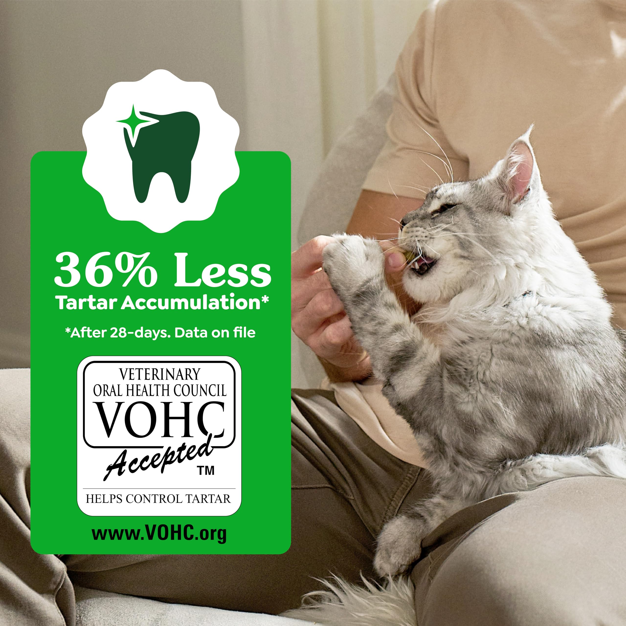 Greenies Cat Treats Adult Natural Dental Tuna Flavor 9.75 oz Tub BEST BY.02/2026