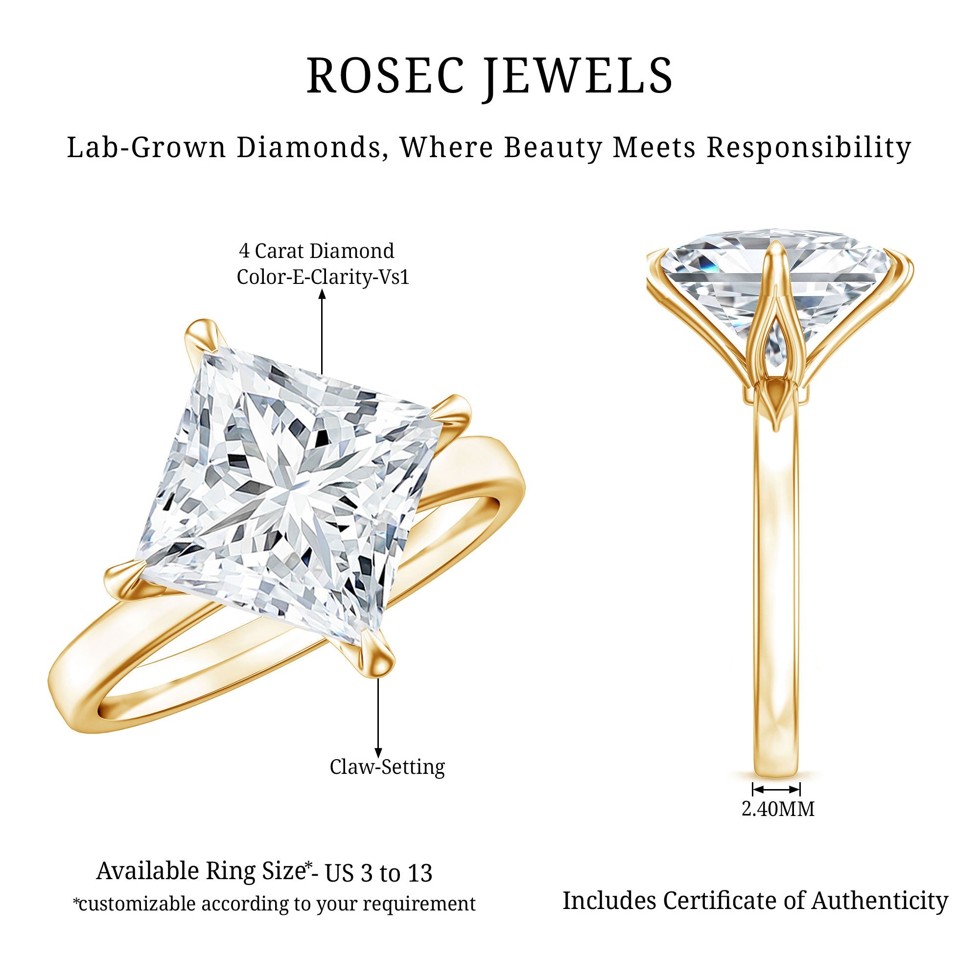 IGI Certified 4 Carat Princess Cut Lab Grown Diamond Engagement Ring