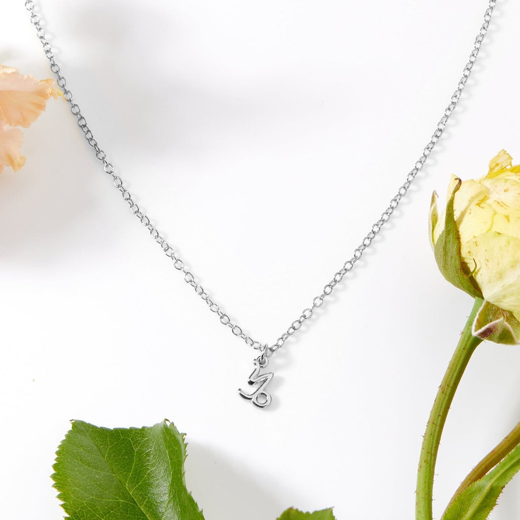 December 31st Capricorn Necklace