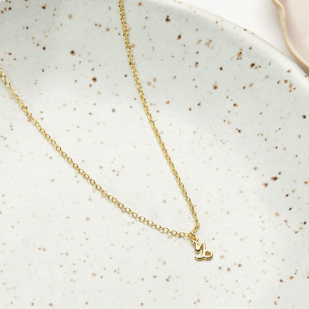 December 31st Capricorn Necklace