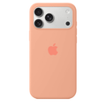iPhone Silicone Case (Begonia)