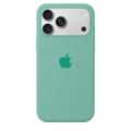 iPhone Silicone Case (Spearmint Green)