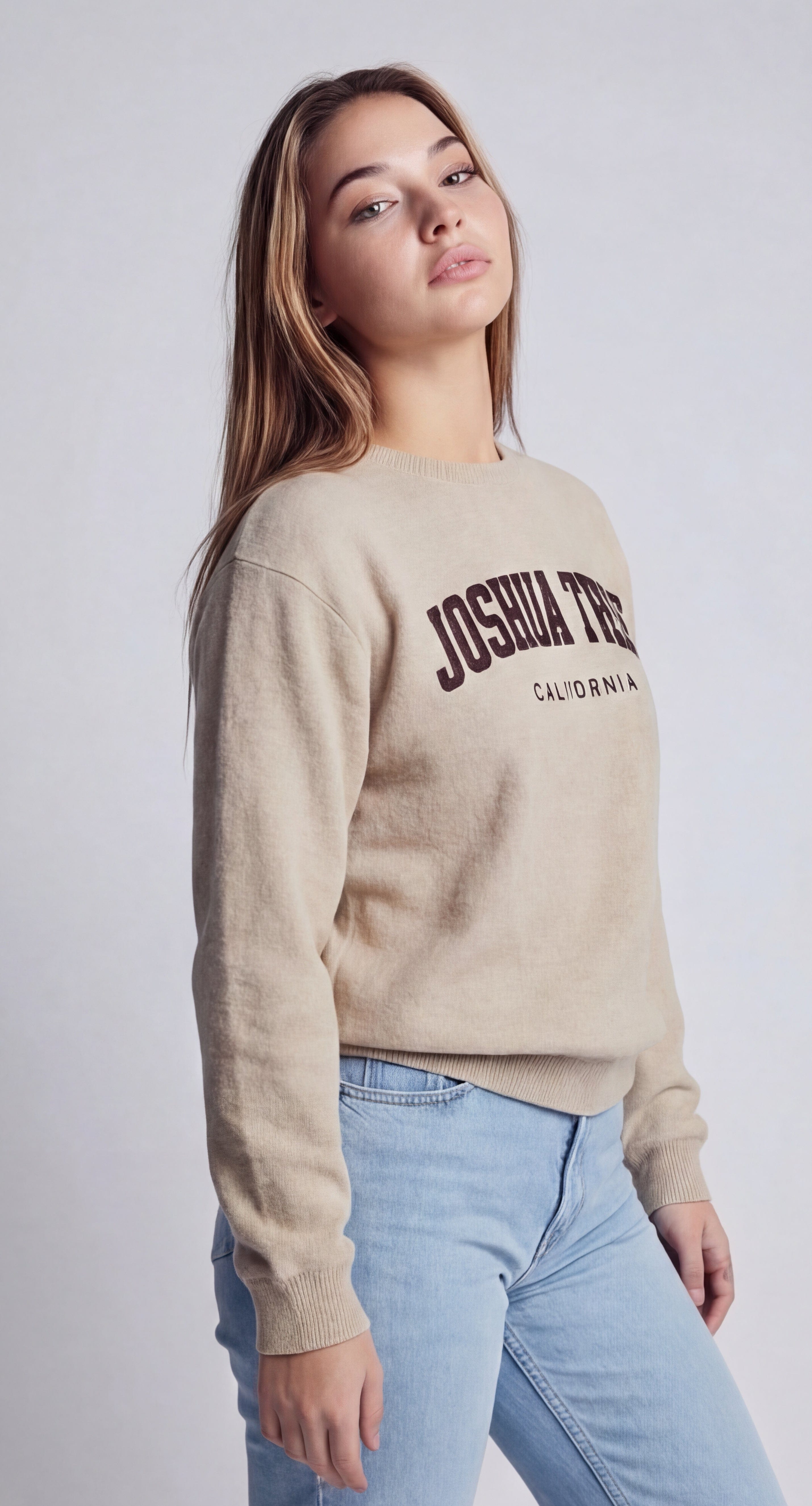 Joshua Tree Embroidered Sweatshirt