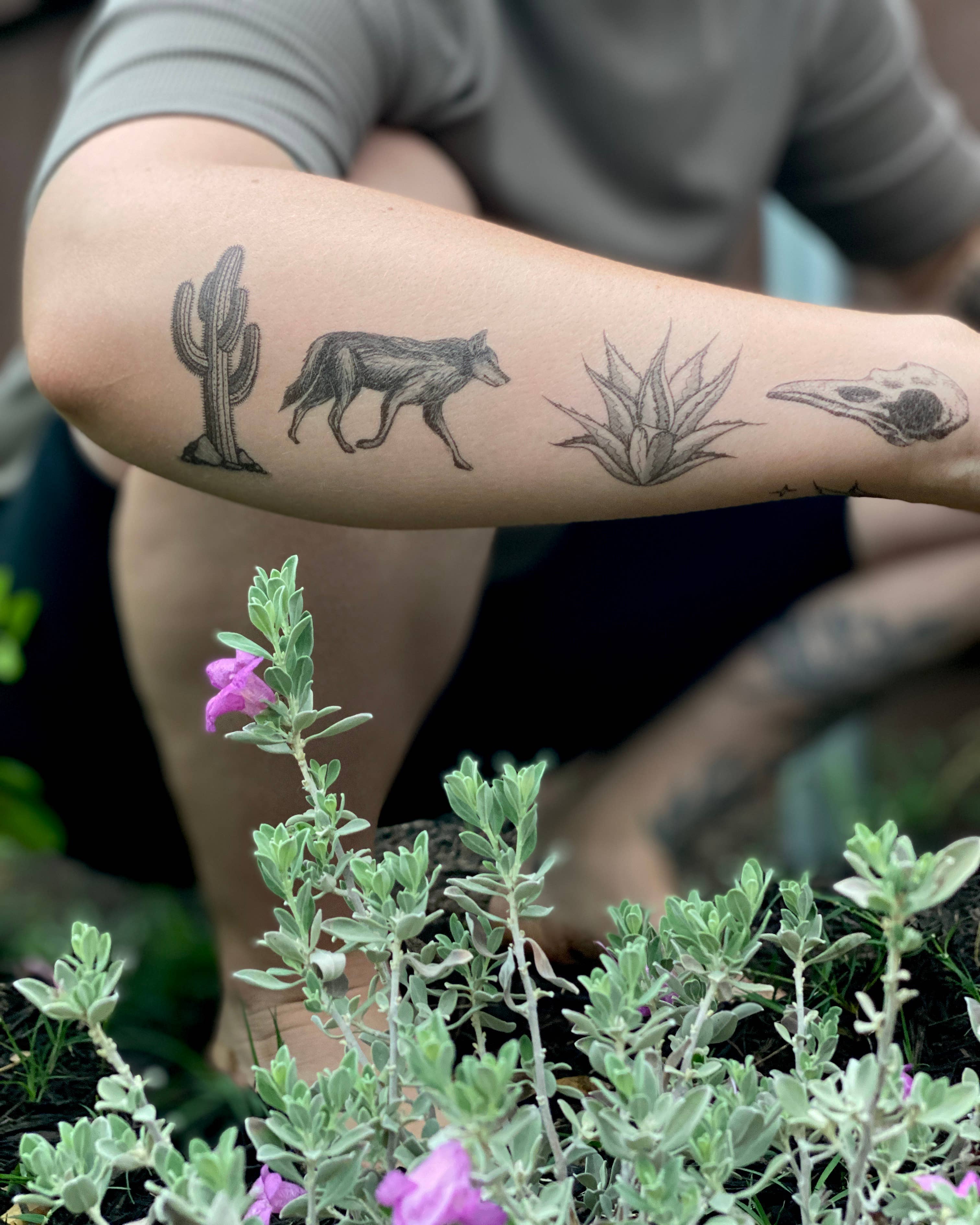 Desert Wild Temporary Tattoo