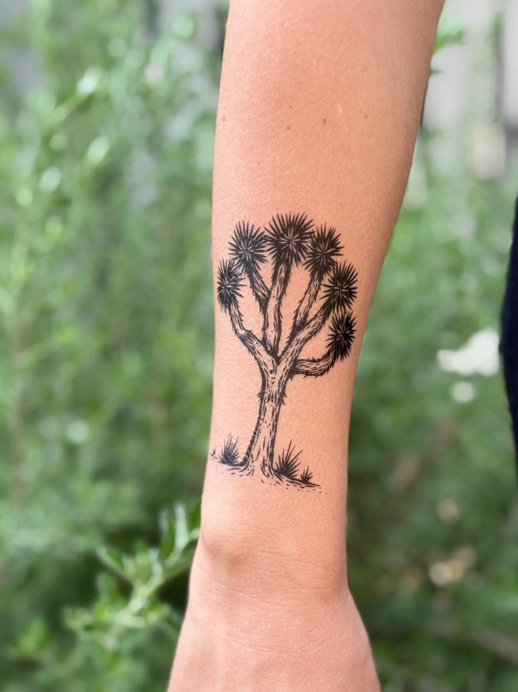 Joshua Tree Temporary Tattoo