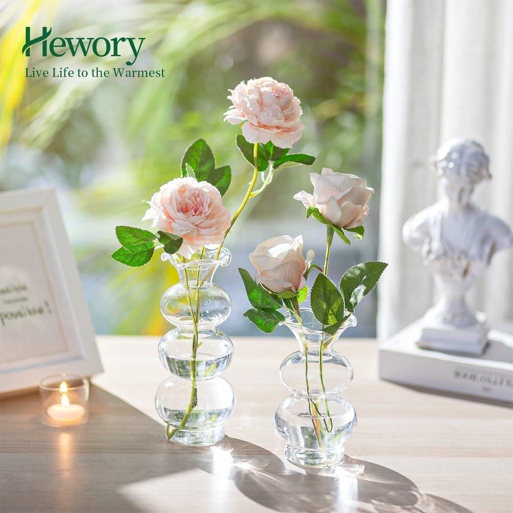 Hewory Glass Bubble Bud Vase Small Clear Glass Flower Vase for Single Stem