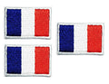 Truly Mini France Flag Embroidered Patch Sew On Applique 0.6x1.1 Inch