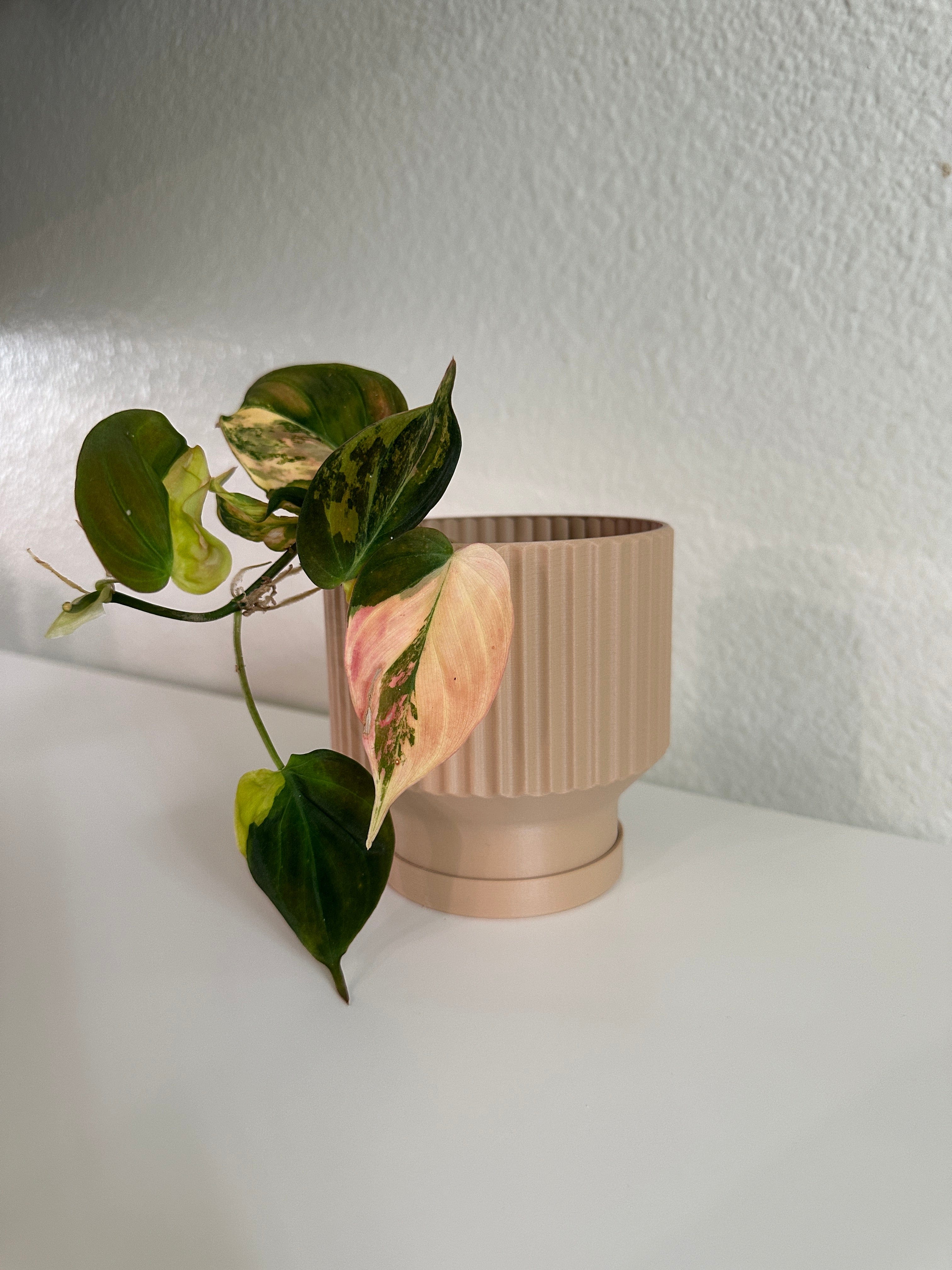 Fluted Lightweight Planter Pot